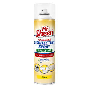 Disinfect Spray 500ml